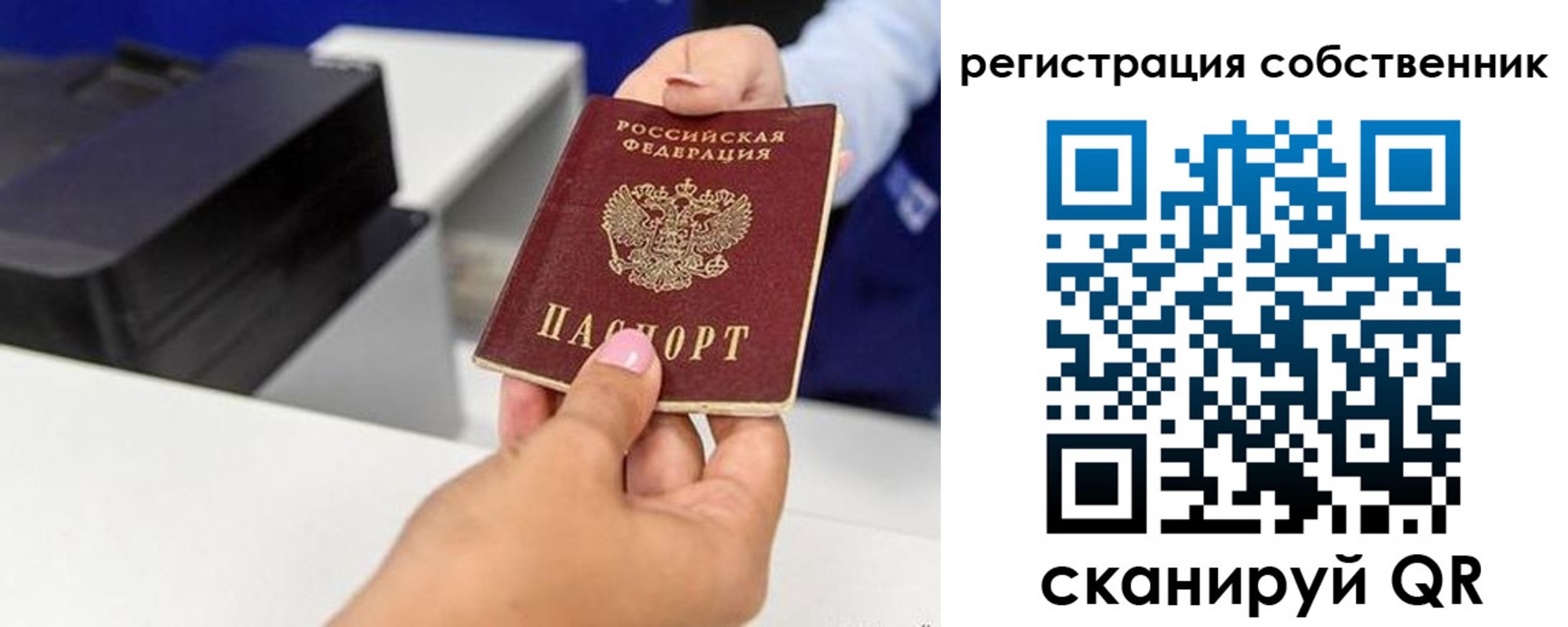прописка для школы в Елизово